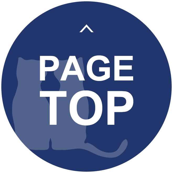 Page top